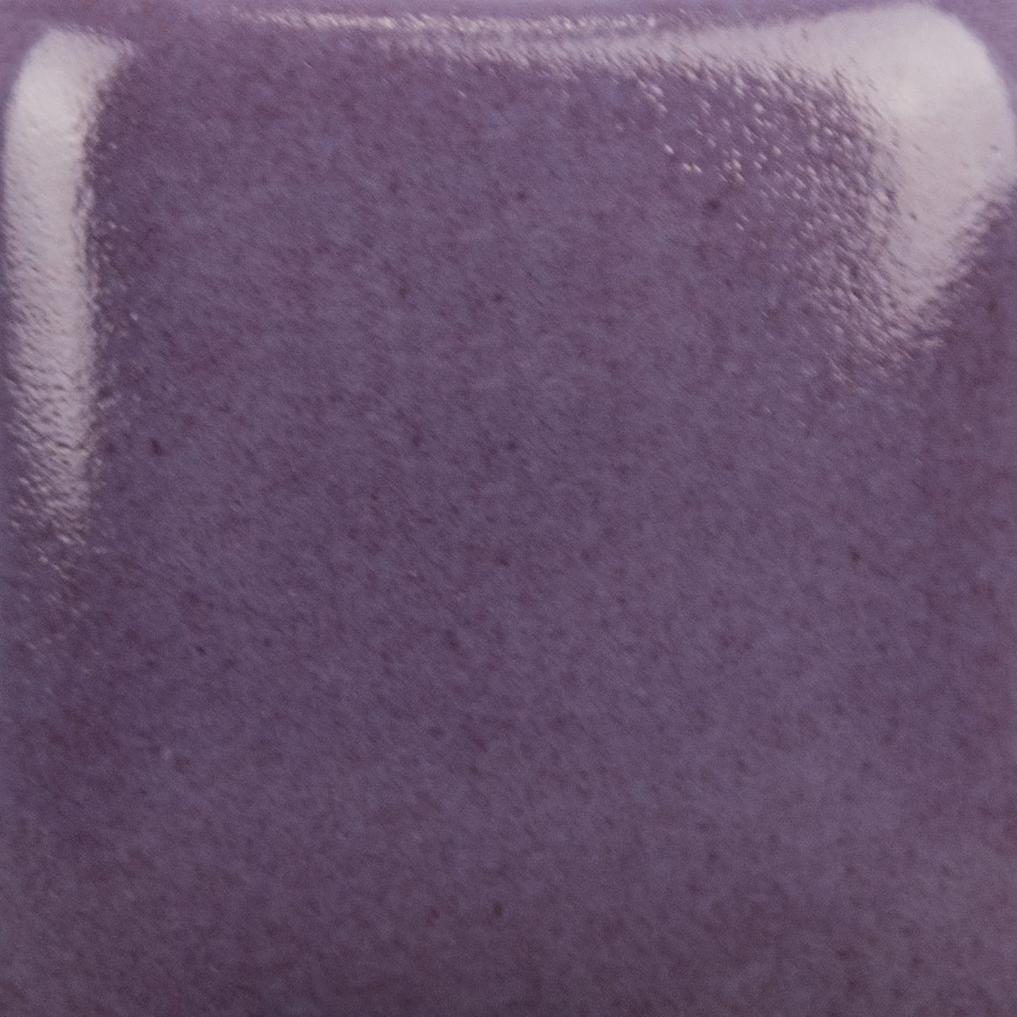 SC-40 VIOLETINĖ (BLUEBERRY HILL) - Image 2