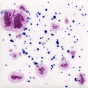 CG-1011 Šaldytų uogų (FROSTED BERRIES)