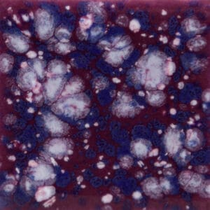 S-2704 Slyvų džemo (PLUM JELLY)