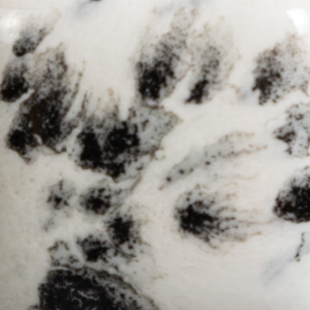 CG-977 Dalmantino (INK SPOTS) - Image 2